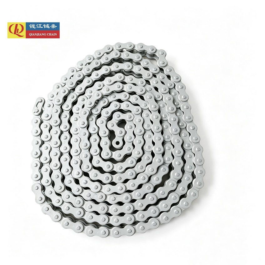 Hangzhou Qianjiang Chain Industries Co., Ltd. introducerar dig för Dacromet/Special Coated Roller Chains